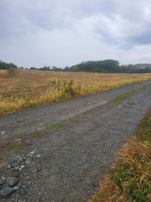 Vand teren cainau cluj