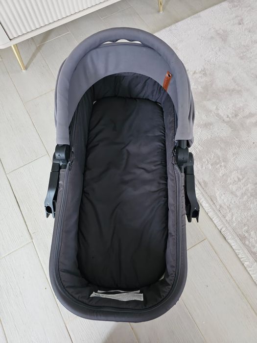 Chipolino Piruet-Landou si scoica