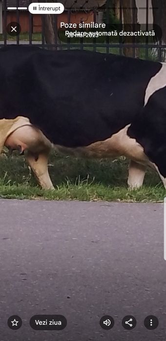 De vînzare Pogoanele .Buzău.