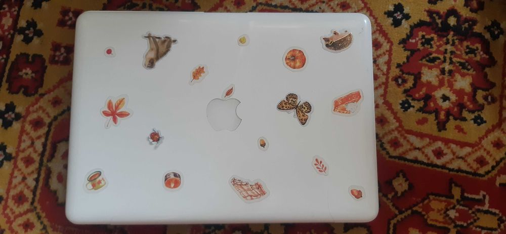 MacBook 13 (2009)