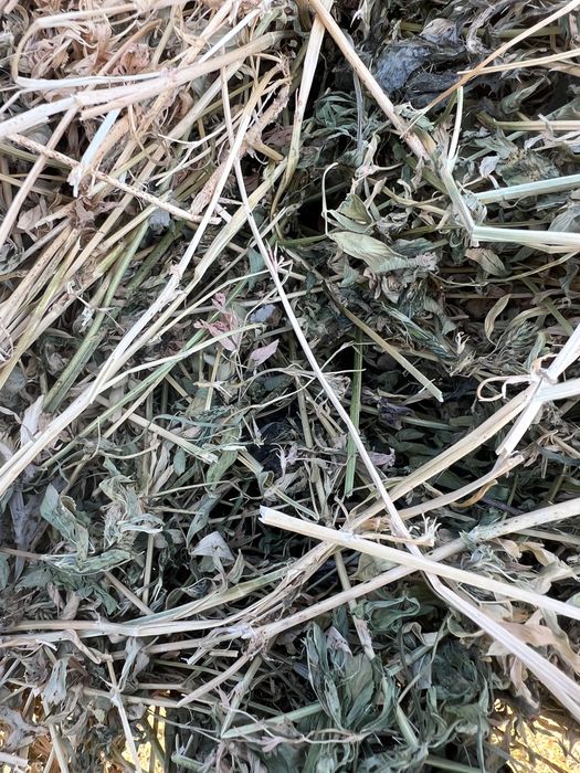 Baloti rotunzi  lucerna