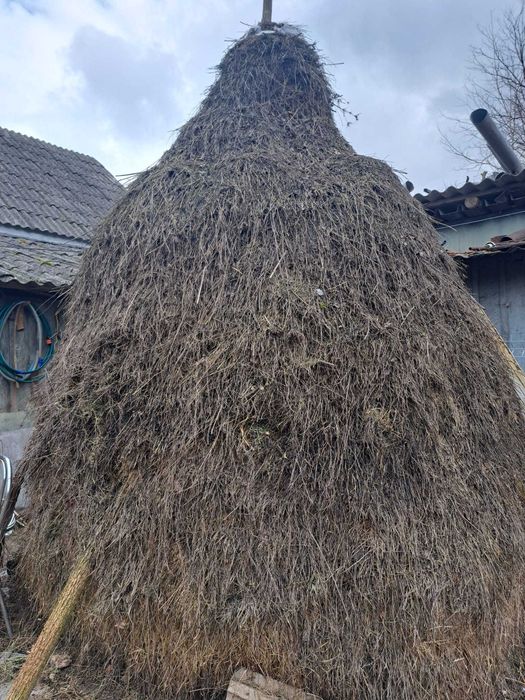 Fân și otavă de vanzare