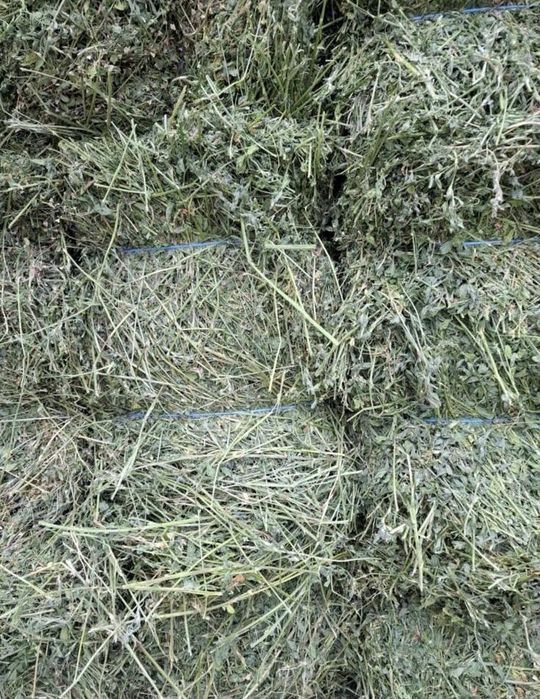 Baloti amestec furaje si lucerna