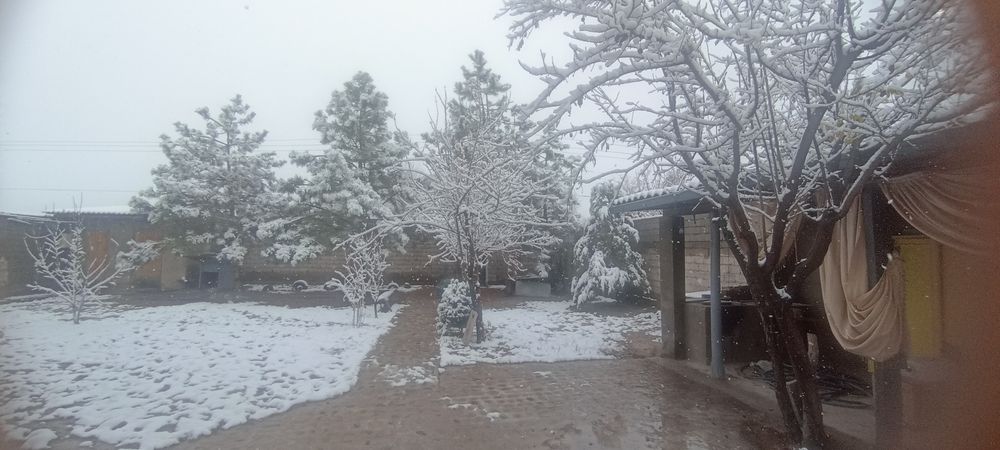 Yangi Uzbekistan, yangi Tashkent rabad torgovii centr