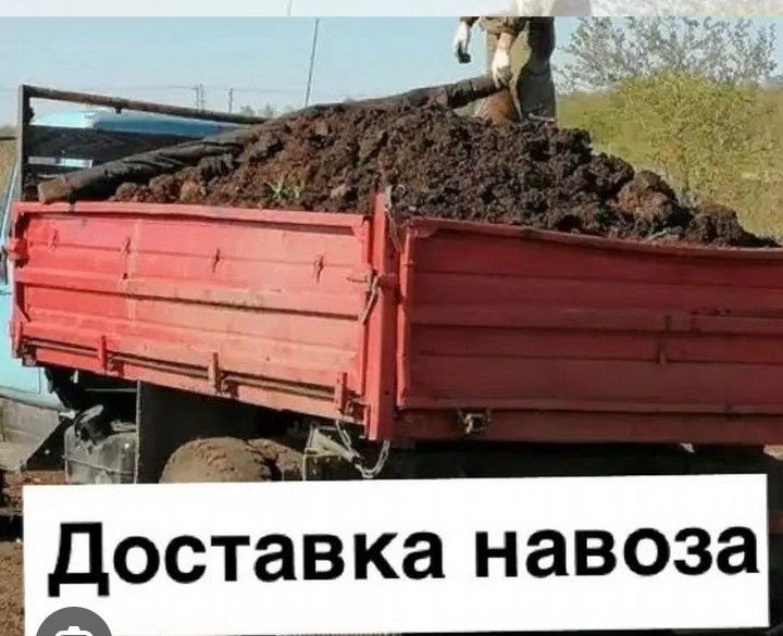 Доставка навоза семей