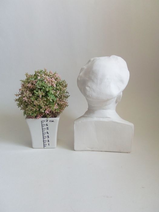 Бюст Владимира Ильича Ленина.