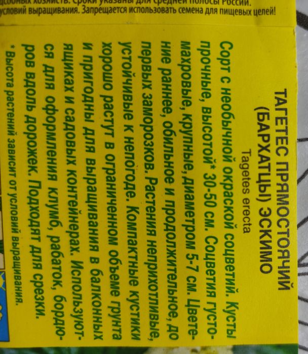 Рассада бархатцев