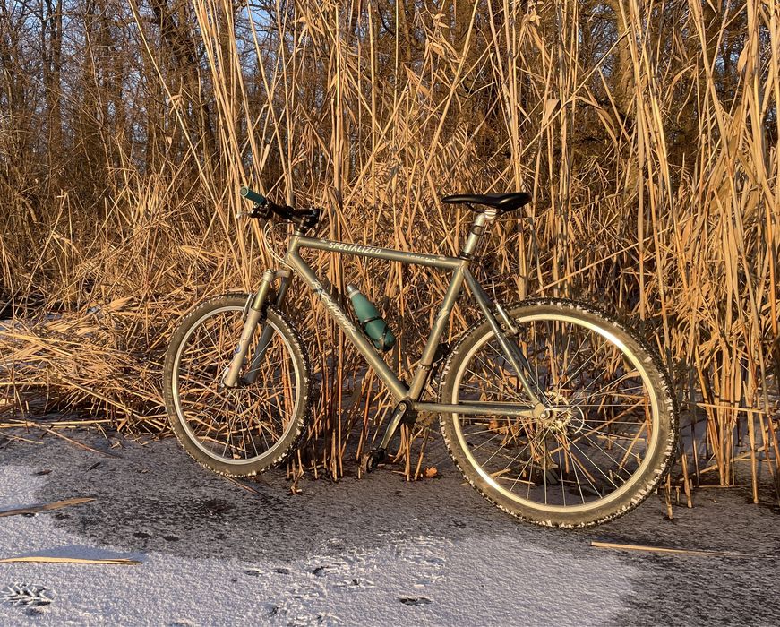 RETRO MTB: Specialized Rockhopper (L)