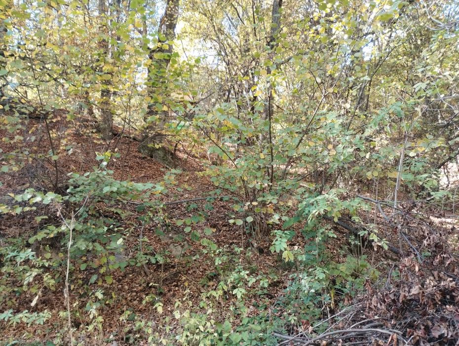 Продава се Земеделски имот в с. Дедово, Област Пловдив -  кв.м за 12 €/дка - Снимка #5