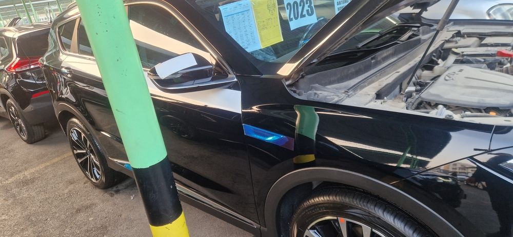 Zor toza yurgani halol