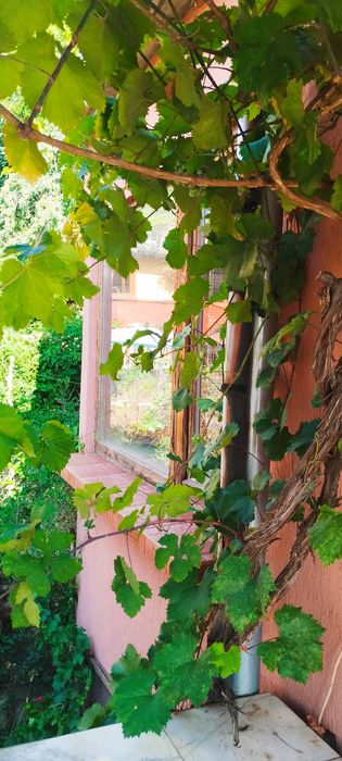 Продава се Етаж от къща в Перник, Варош - 80 кв.м за 788 €/кв.м - Снимка #3