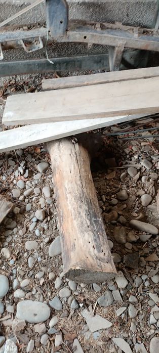 Доски орех, не обработанные.