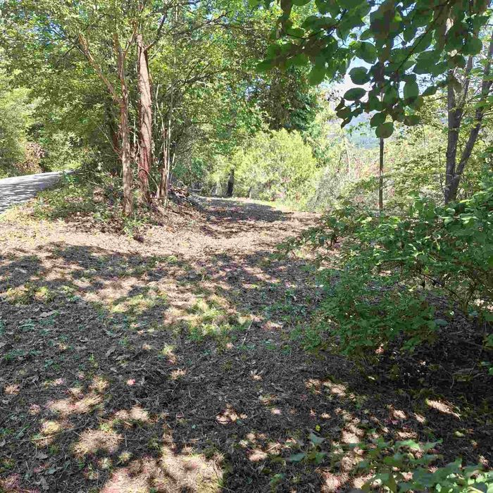 Поддръжка и почистване на зелени площи/Косене на трева