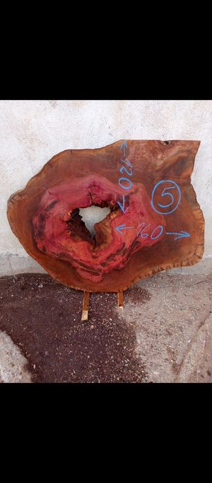 Шайби ф120-160см от чинар за заливане със смола за трапезна маса.