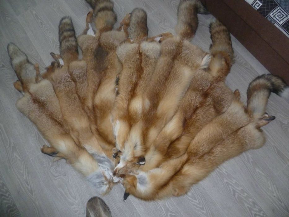 Натуральный мех лисы тулки