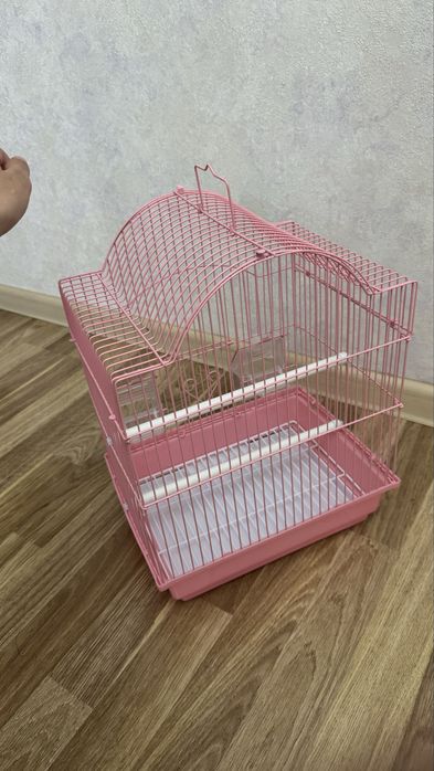 Сетка для попугай