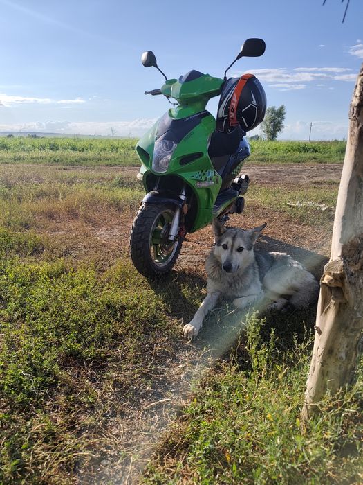 Продам скутер 150 кубов
