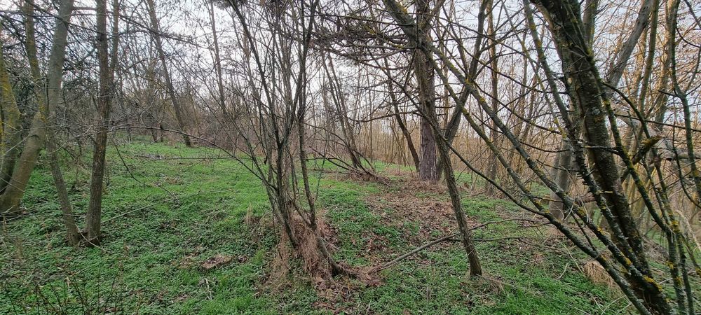 Продава се Къща в с. Побит камък, Област Разград - 100 кв.м за 306 €/кв.м - Снимка #5