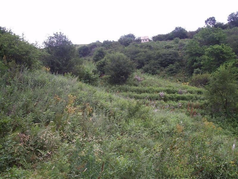 Как правильно купить земельный участок в алматы. Участки в алматы. Микрорайон акжар дом 6 алматы на карте. Участки в алматы. Участки в алматы.