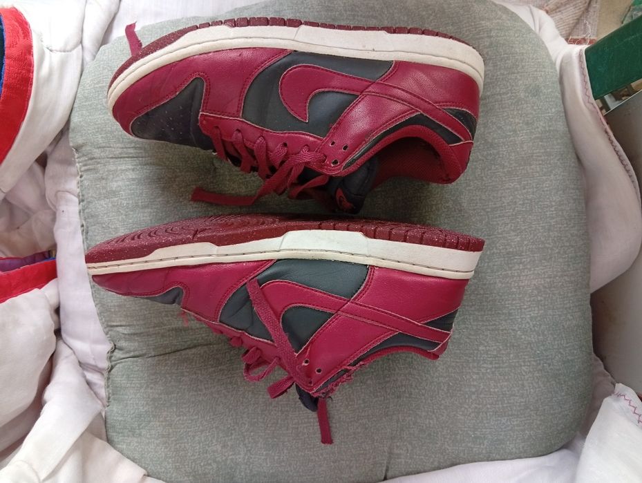 Nike dunk low nature red