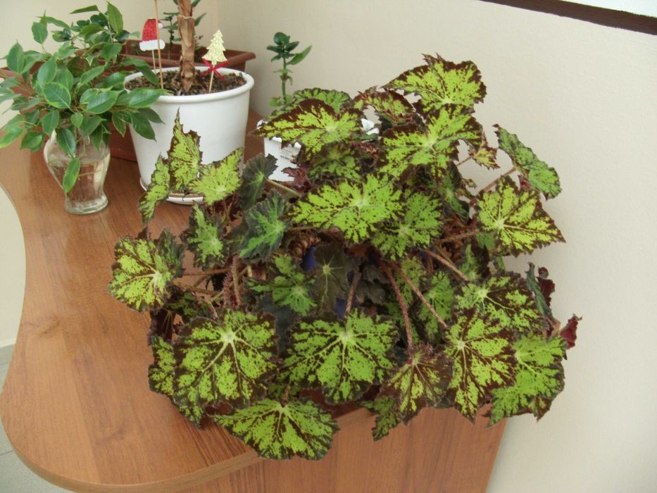 фотоапарат GE C 1433 14.1 МРх