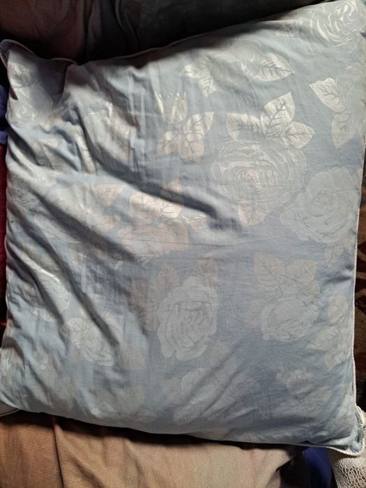 Perne din fulgi foarte vechi schimbate fata și fulgi spalati