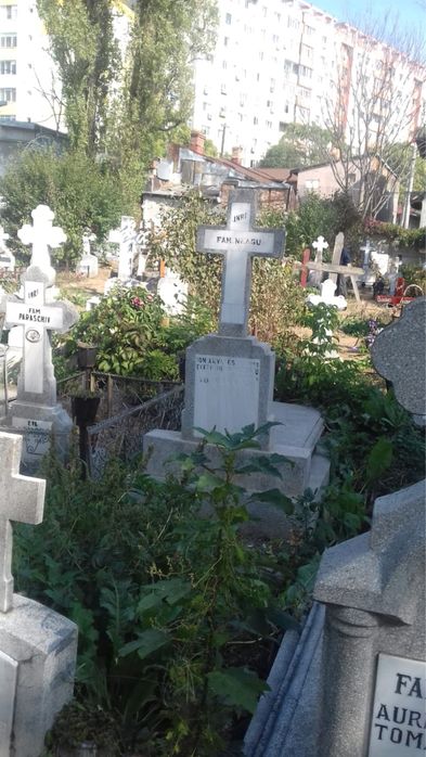 Loc de veci cimitirul Reinvierea
