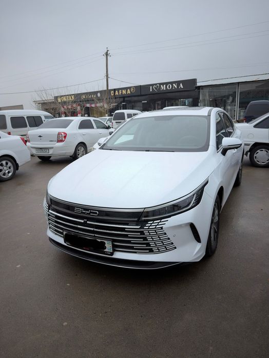 Byd Chazor Luxe Lyuki bor