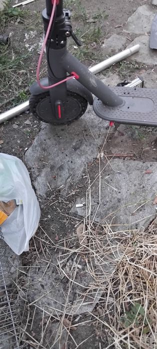 Техника и най различни моркови нища