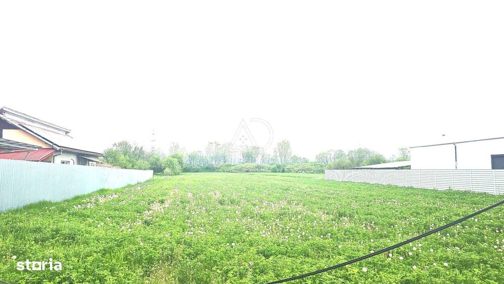 Teren de vânzare în Dănești