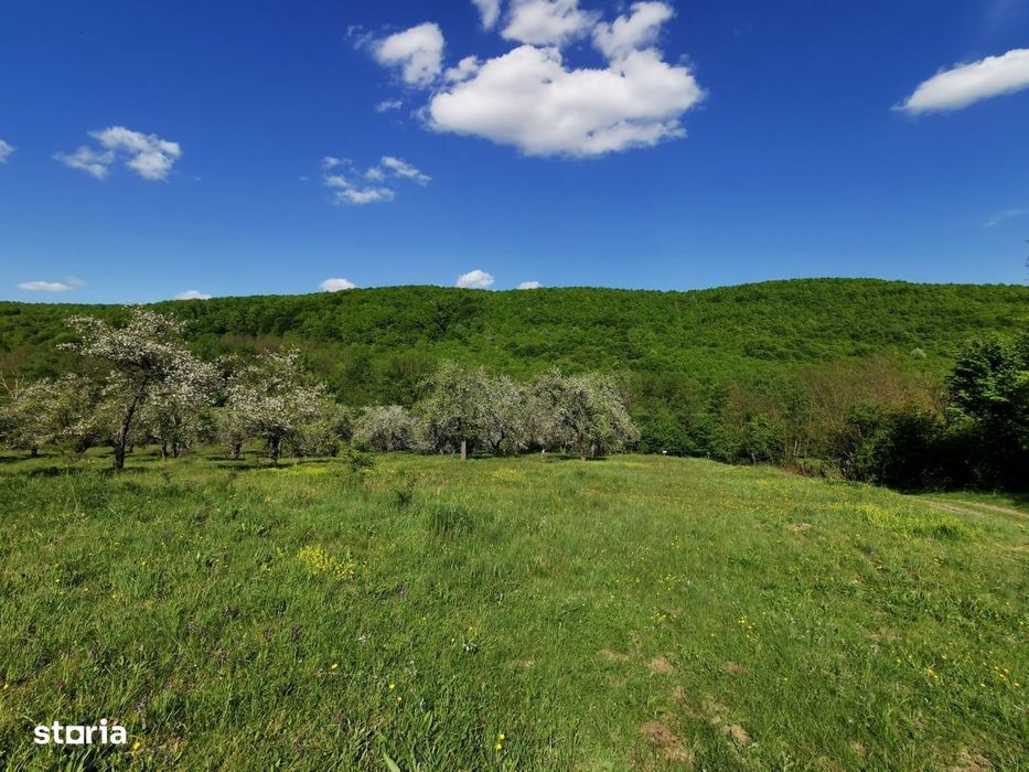 Teren de Vânzare, Budeasa Mica – Potrivit pentru Casă de Vacanță sau I
