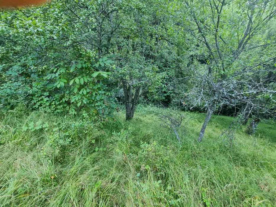 Продава се Парцел в Габрово, Бичкиня - 1200 кв.м за 3 €/кв.м - Снимка #2