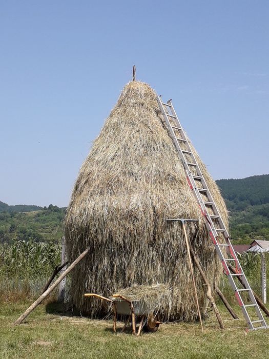 Baloti de ,fan ,otava ,lucerna