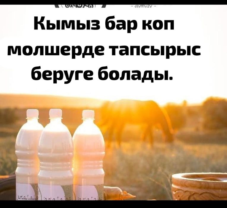Масло 4200домашние