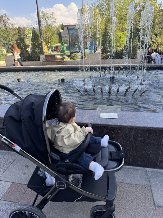 Детская коляска Pituso Mayla