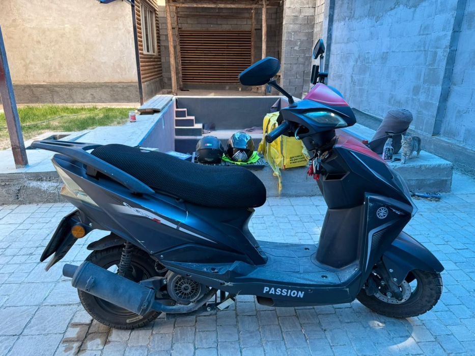 Мопед хишник 2022 выпуск.