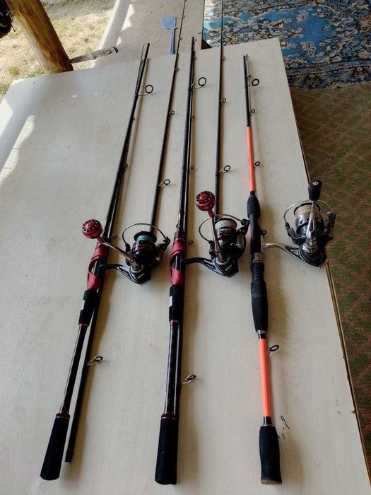 Baliqchlia wottamisila