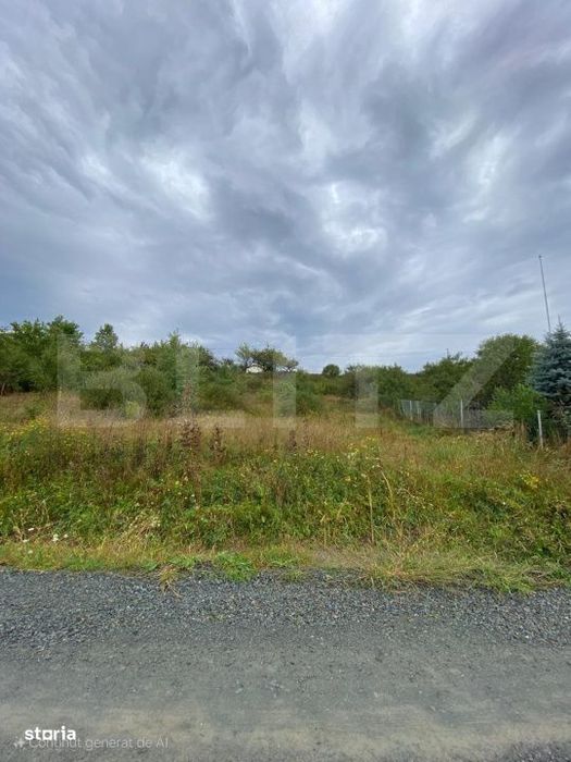 Teren intravilan 9.8 ari – Valea Rusului-Zona Pensiunea Morariu
