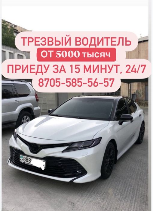 Трезвый водитель