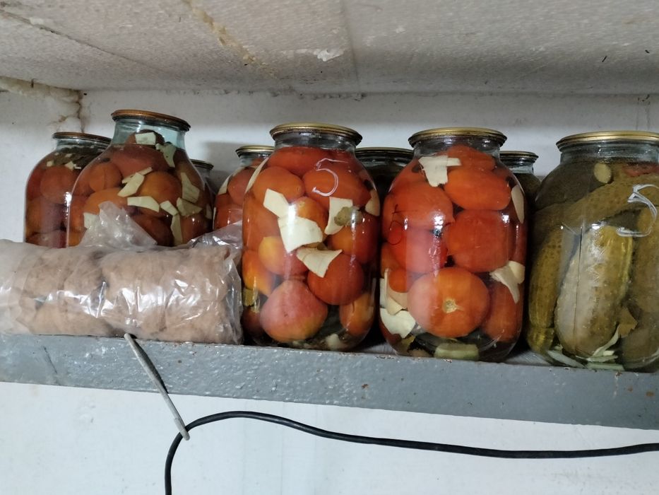 Огурчики соленые.