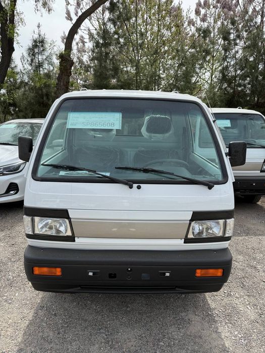 Bez prabeg Labo Damasla bor