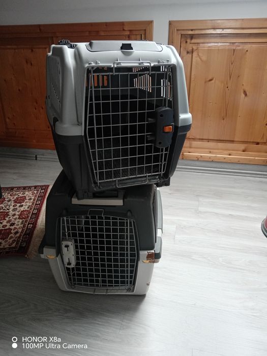 Vind 2 boxe de transport câini.Menționezi ca sunt folosite stare bună.