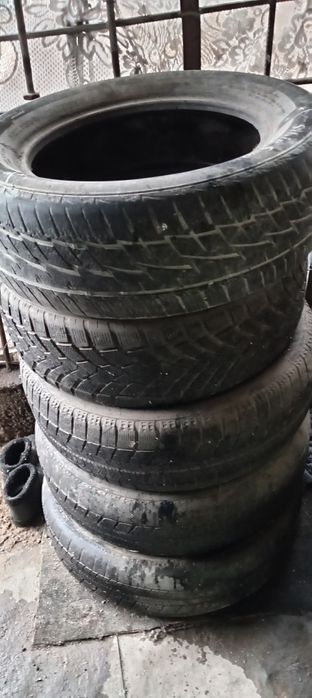 Зимние шины на легковой