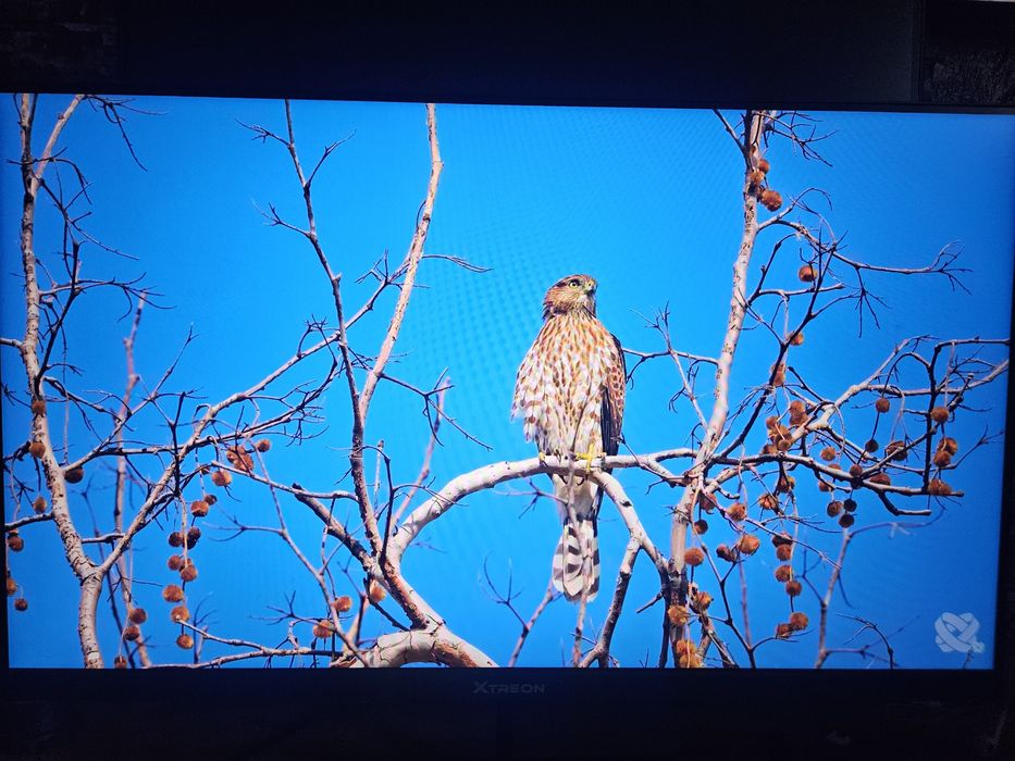 Монитор XTREON 23.8 180hz