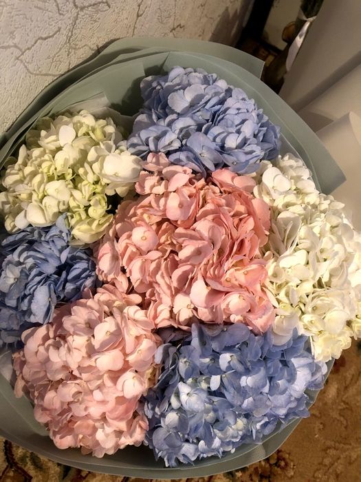 Распродажа цветов