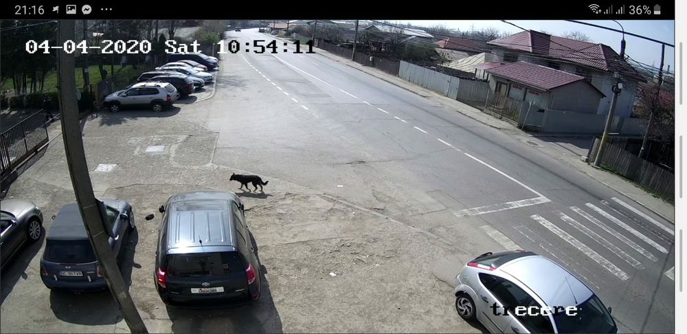 Camere de supraveghere