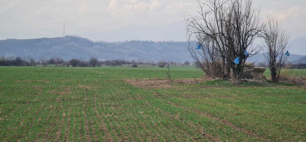 Teren Extravilan Voinigești, Gorj