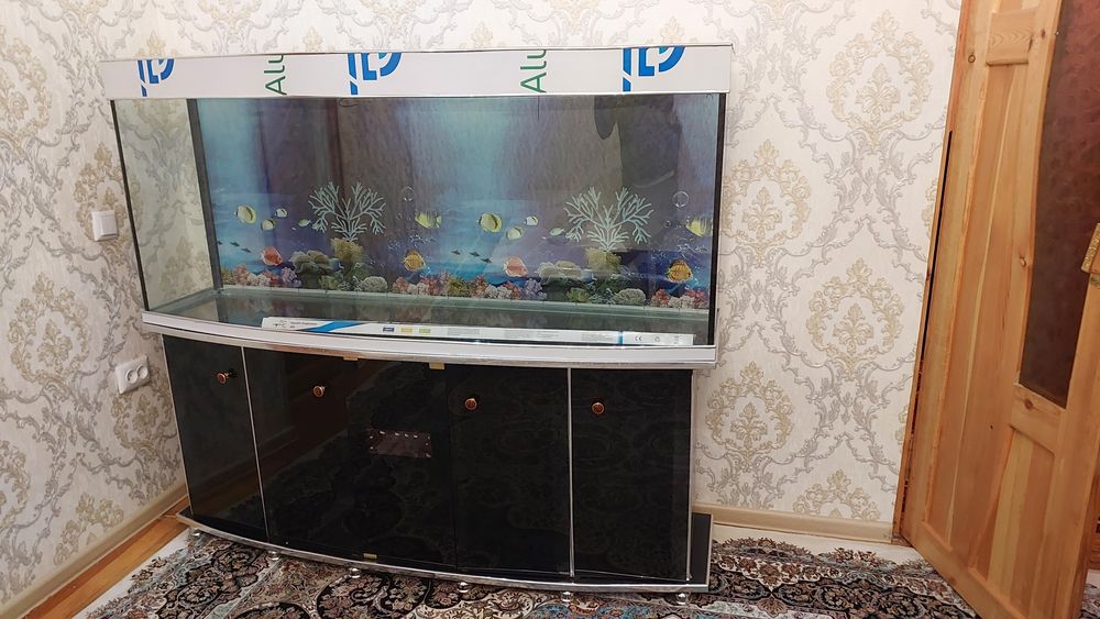 Сотилади аквариум узунлиги 160 см умумий баланлиги 140 см тумба бл