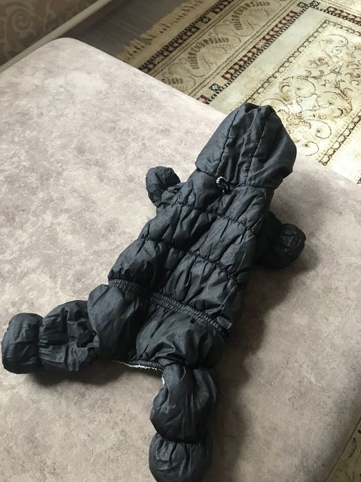 Одежда для собак