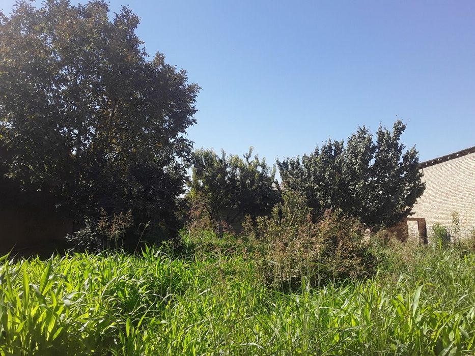 10 суток,битмаган,2етажга мулжалланган,12метр падвалли ховли сотилади